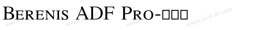 Berenis ADF Pro字体转换